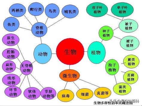 界門綱目科屬種口訣|界門綱目科屬種:分類系統,兩界,三界,四界,五界,兩總界。